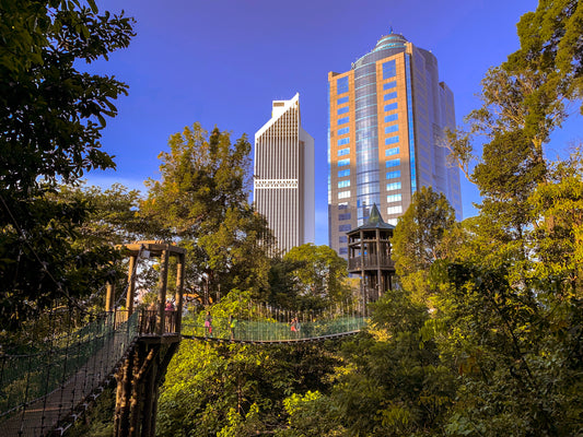 Canopy Walk di tengah Hutan di Kuala Lumpur