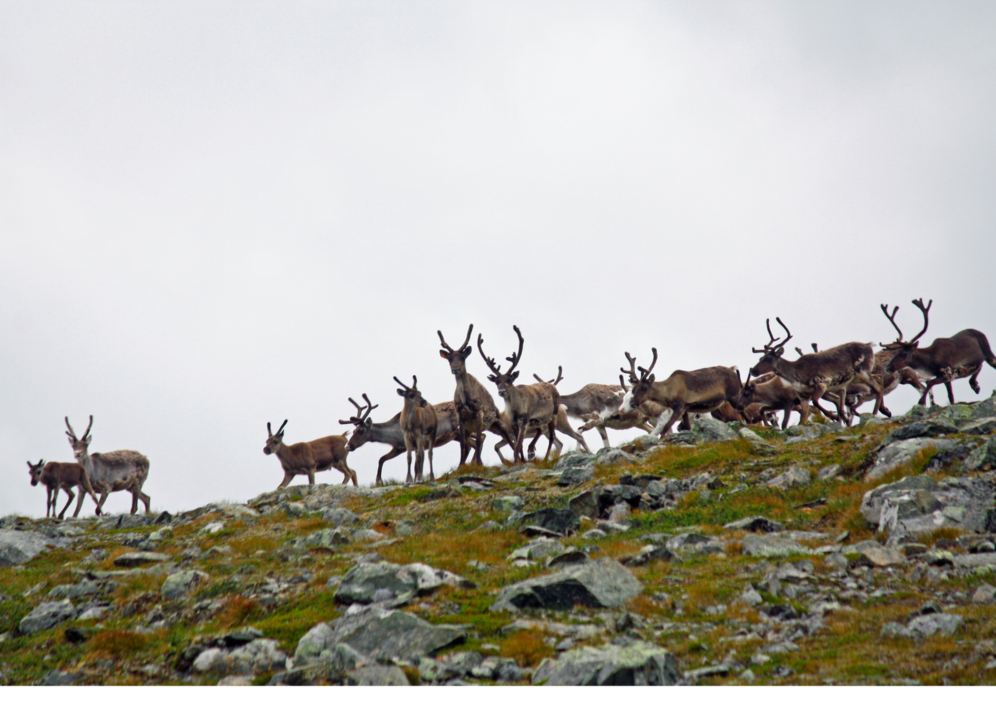 NORWAY ARCTIC ADVENTURE