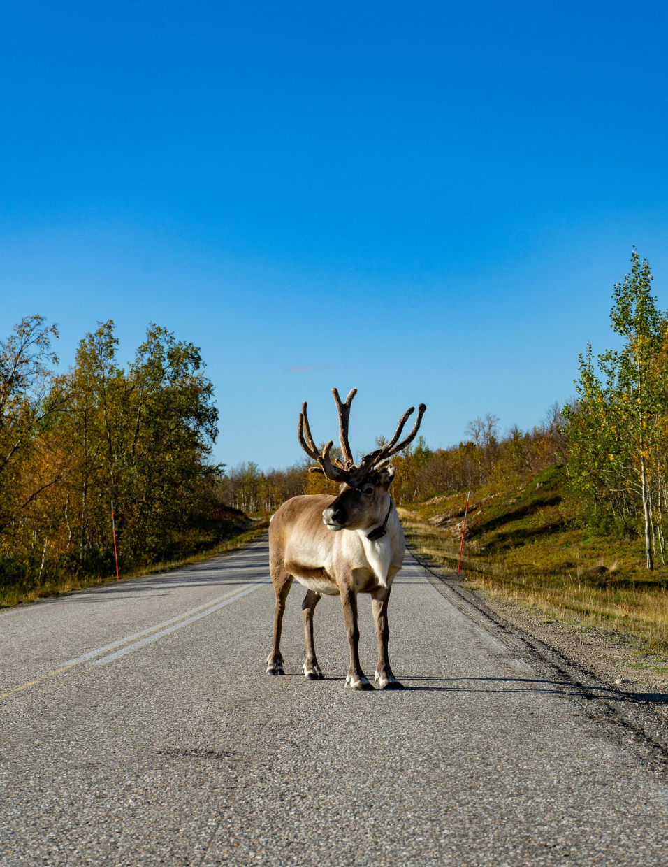 NORWAY ARCTIC ADVENTURE
