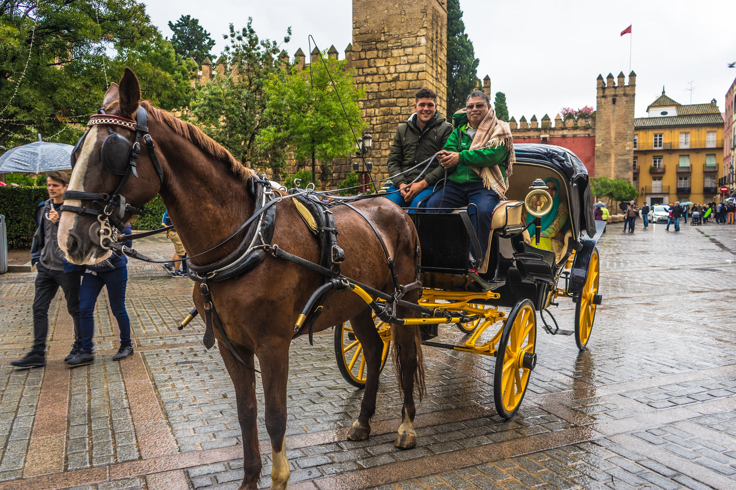 SPAIN SAGA ANDALUSIA