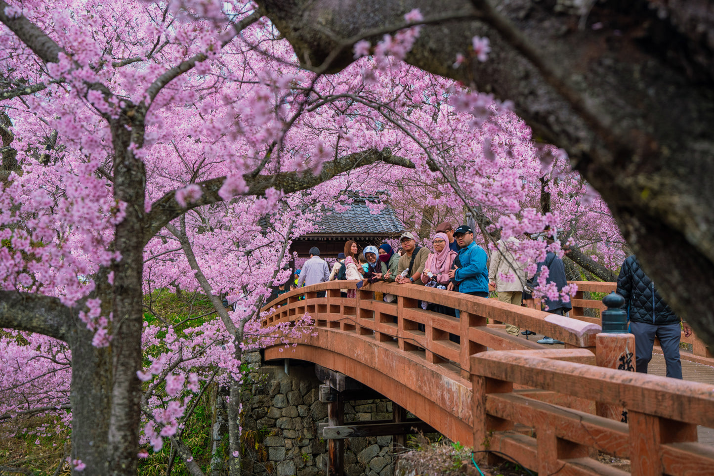 JAPAN ALPS