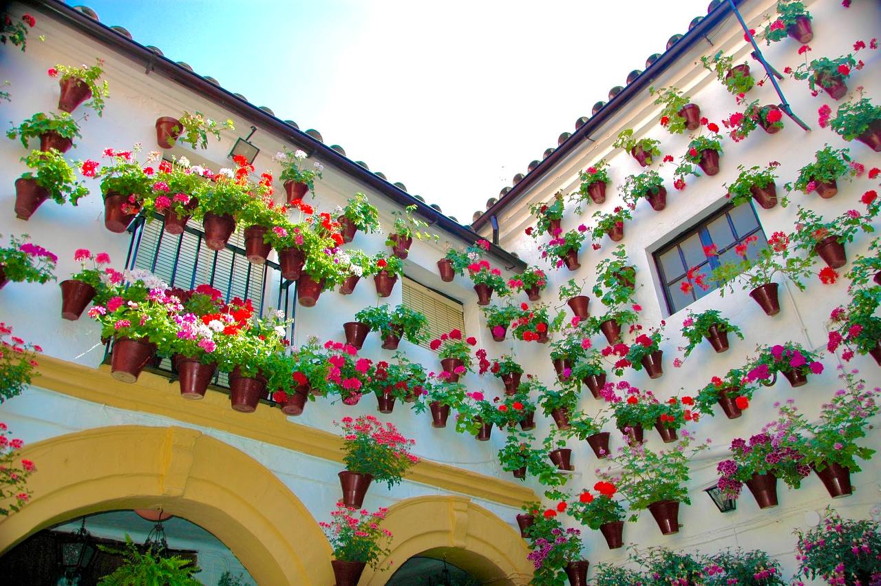 SPAIN SAGA ANDALUSIA