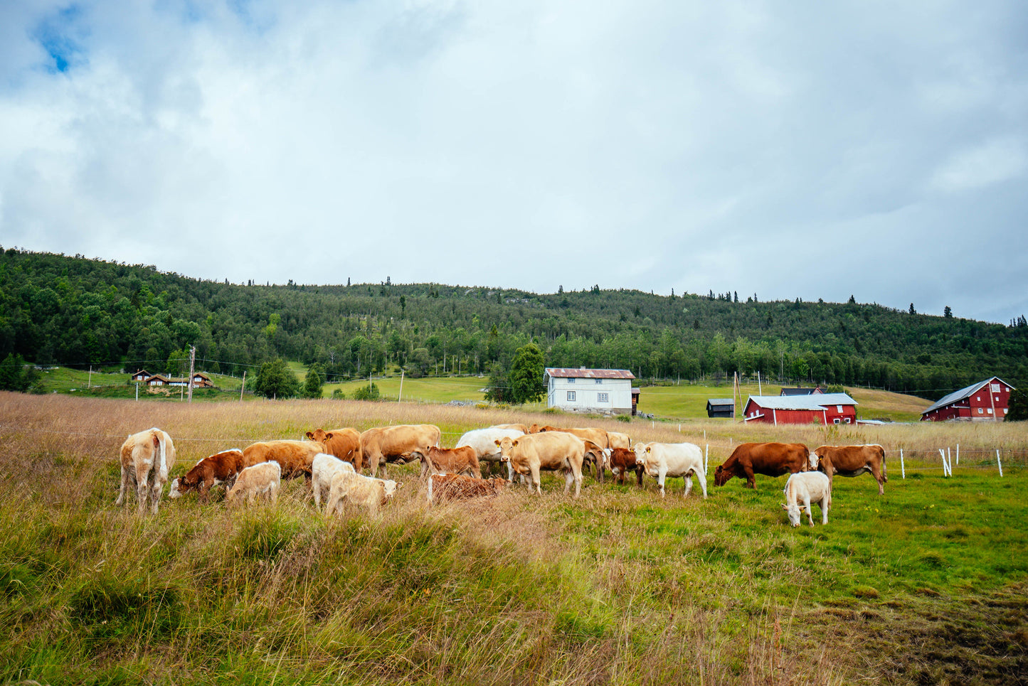 NORWAY FJORD ADVENTURES