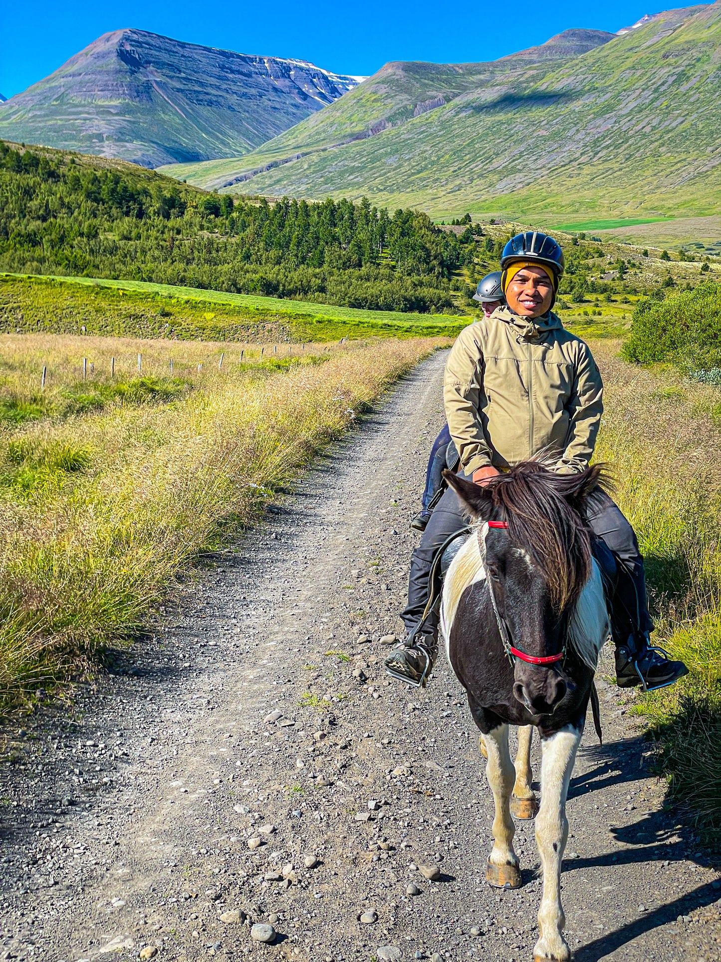 ICELAND RINGROAD & WESTFJORD