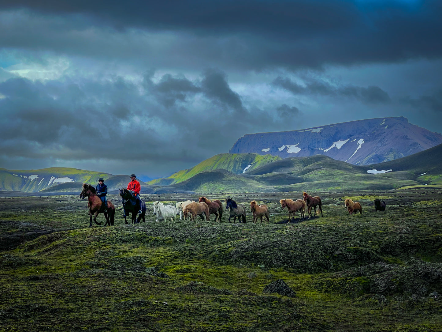 ICELAND RINGROAD & WESTFJORD